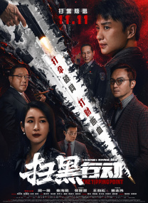 a级精品九九九大片免费看